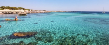 Transfer Palermo Favignana - 1