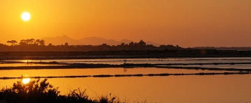 Transfer Palermo Marsala - 1